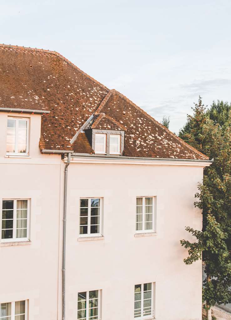 Terres De France - Appart'Hotel La Roche-Posay Eksteriør billede